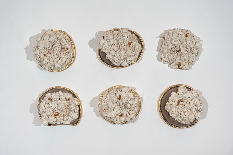 Melis Buyruk: Four Birds and One Soul