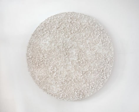 White Narcissus Panel R, 2014, Linen, acrylic, porcelain, nylon, and waxed cotton