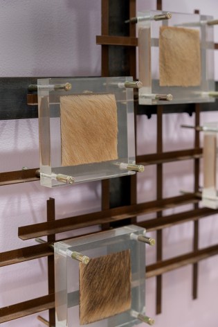 Editions: Limited-Edition Art &amp; Design Fair 2024