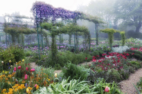 Giverny: 78, 2016, Archival Pigment Print; Signed on Verso