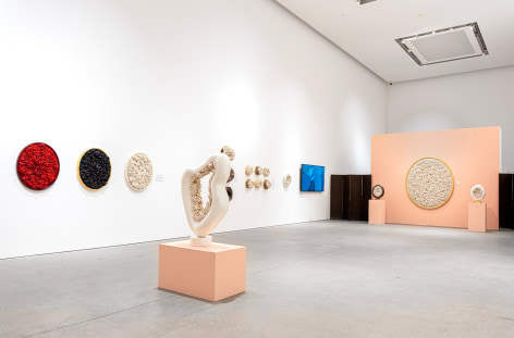 Melis Buyruk: Four Birds and One Soul