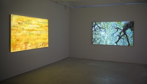 Installation view of Shoja Azari &amp;amp; Shahram Karimi, The Cold Earth Sleeps Below Exhibition,
