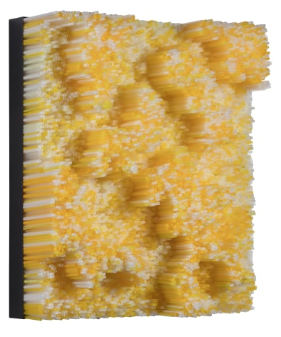 Straws, 2017 Straws on Wood Panel with Metal Frame