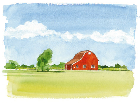 Macari Vineyard's barn, surrounded by farmland and vineyards, is symbolic of the importance of agriculture on the North Fork.