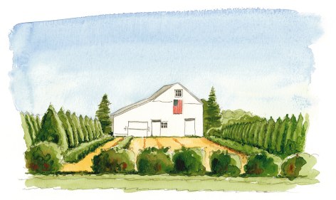 The Half Hollow Nursery's iconic centennial barn upholds a farming heritage on 800 acres in Laurel.