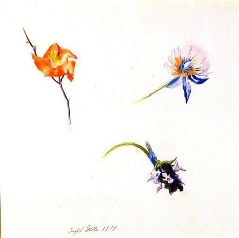 Joseph Stella Three Flowers