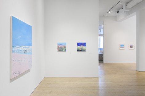 Installation photography by Shaun Roberts