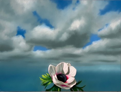Bruce Cohen Anemone Against Cloudy Sky, 2020