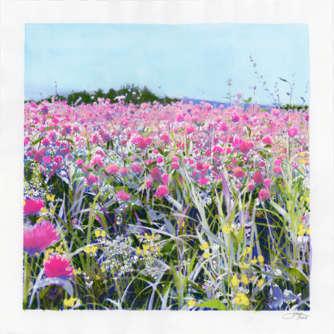 Isca Greenfield-Sanders Pink Wildflowers, 2024