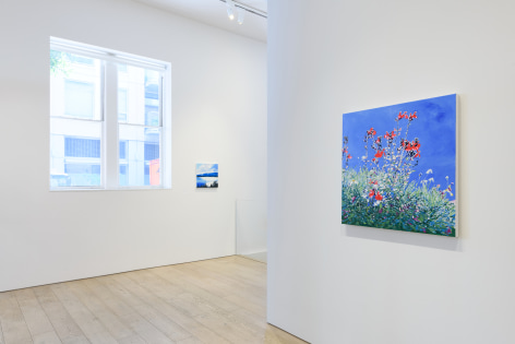 Installation photography by Shaun Roberts