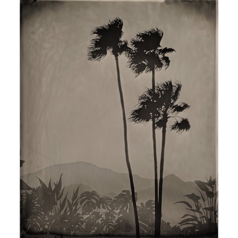 Vanessa Marsh Palm Springs 17, from the series Further to Fly, 2021