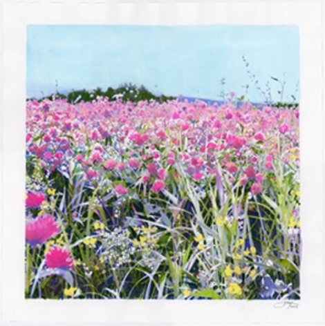 Isca Greenfield-Sanders Pink Wildflowers, 2024