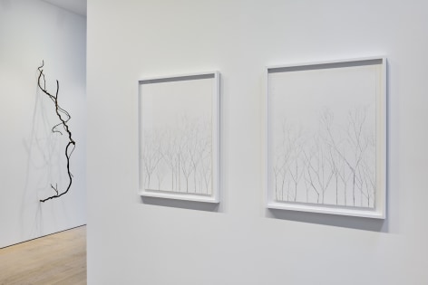 Installation view of Linda Ridgway: A Story and the Poet. Photograph by Impart Photography / Glen Cheriton.&nbsp;