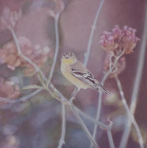 Goldfinch I 2005