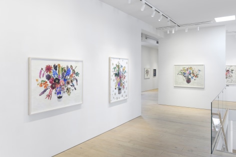 Installation view of Endless Forms Most Beautiful. Photograph by Shaun Roberts.