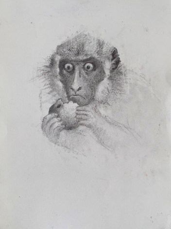 John Alexander Monkey Eating an Apple, 2019