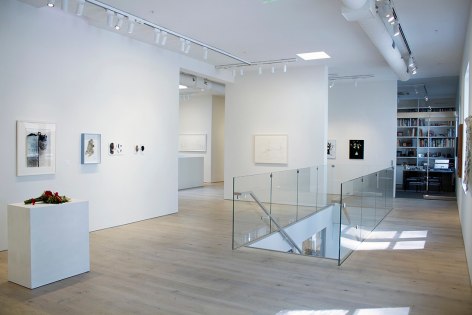 Installation view of Bot&aacute;nica, 2017