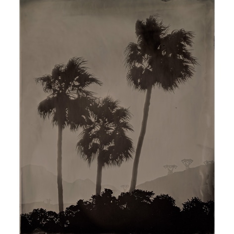 Vanessa Marsh Palm Springs 20, from the series Further to Fly, 2021