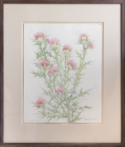 John Alexander Pink Thistles, 2021