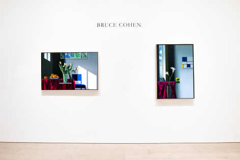 Installation image of Bruce Cohen.