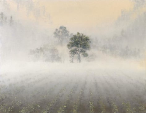 Stephen Hannock Vineyard Hillside with Clearing Fog (Mass MoCA #118), 2009