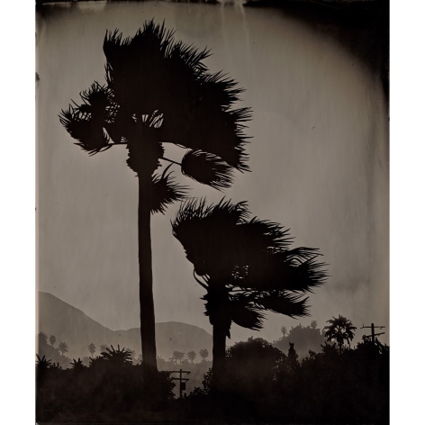 Vanessa Marsh Palm Springs 5, from the series Further to Fly, 2021