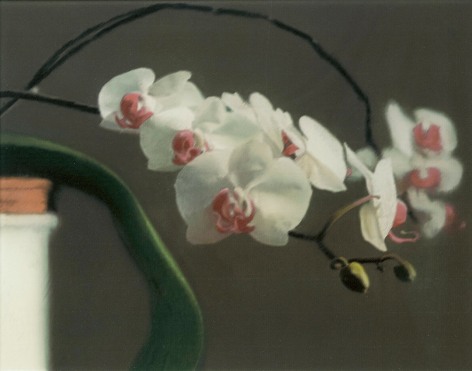 Gerhard Richter Orchidee II, 1998