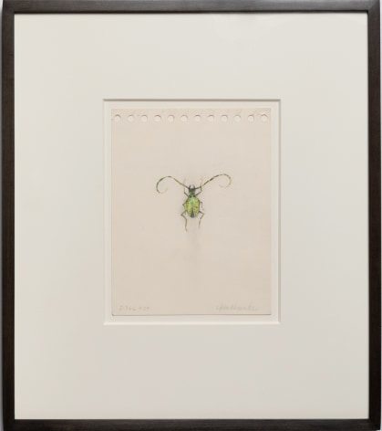 John Alexander Little Green Beetle, 2023