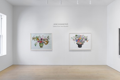Installation view of Endless Forms Most Beautiful. Photograph by Shaun Roberts.