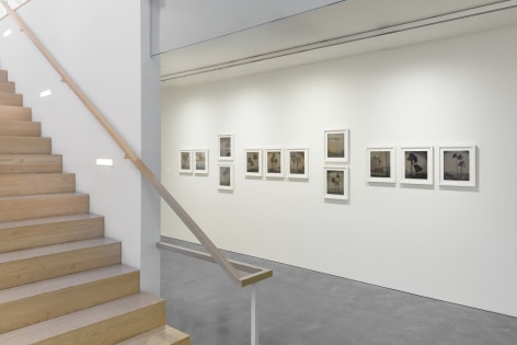 Installation photography by Shaun Roberts