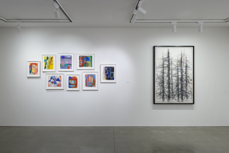 Installation photography by Shaun Roberts.