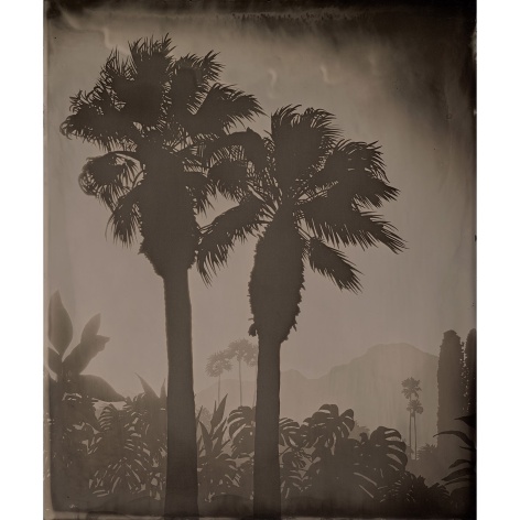 Vanessa Marsh Palm Springs 6, from the series Further to Fly, 2021