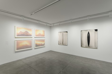 Installation photography by Shaun Roberts
