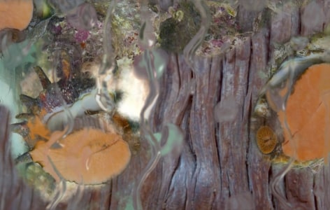 Jane &amp;amp; Louise Wilson, Performance of Entrapment&nbsp;II&nbsp;