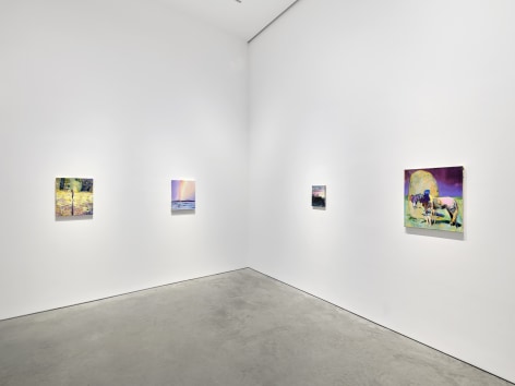 Installation view:&nbsp;Till Gerhard,&nbsp;Turning Tides And Hidden Tracks,&nbsp;303 Gallery, New York, 2025, Photo: Justin Craun