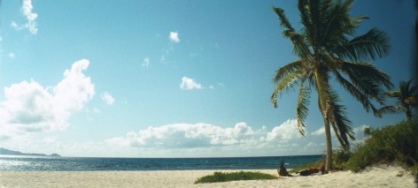 Rodney Graham, Vexation Island, 1997