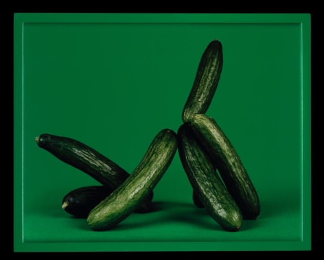 Elad Lassry | Objects of Desire: Photography and the Language of Advertising