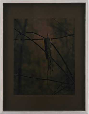 Sam Falls, Paper Skin, 2018