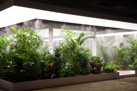 Installation view of Doug Aitken, The Garden 2017.