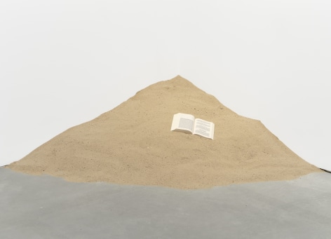 Dominique Gonzalez-Foerster, Untitled