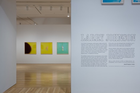 Larry Johnson, Installation view: Hammer Museum, Los Angeles, 2009