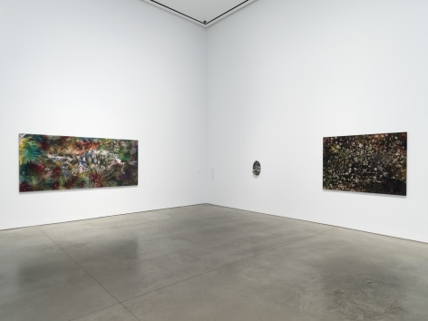 Exhibition view:&nbsp;Sam Falls, 303 Gallery, New York, 2020