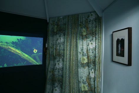 Karen Kilimnik, The bluebird in the folly, 2006, Installation view: 303 Gallery, New York
