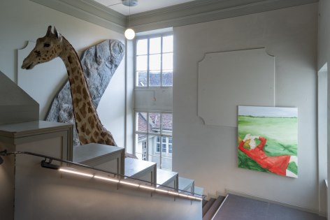 Installation view: Tanya Merrill, Parcours,&nbsp;Natural History Museum Basel, 2023. Photo: Finn Curry