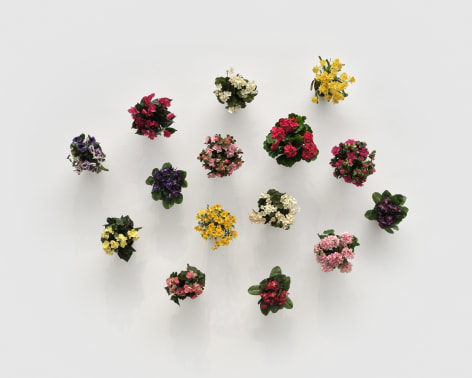 Hans-Peter Feldmann, Blument&ouml;pfe an der Wand