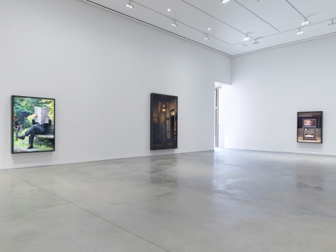 Rodney Graham, Installation view: 303 Gallery, 2017