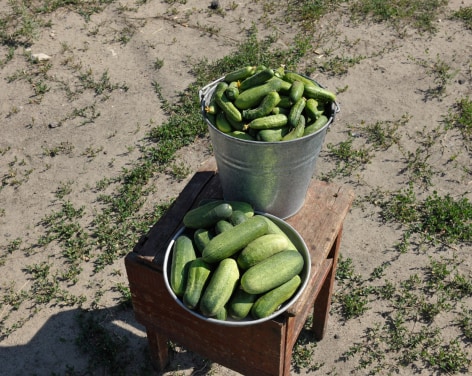 Stephen Shore, Doroshivka, Ukraine, July 24, 2012