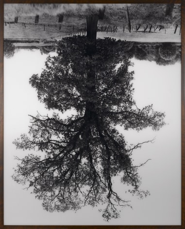 Dominique Gonzalez - Foerster |  Rodney Graham | Larry Johnson | Sue Williams | Drawing, Painting, Sculpture, Photography, Film, Video, Sound | Ringier Collection 1995 – 2025