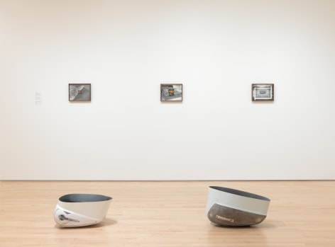 Elad Lassry, 2020 (installation view, SFMOMA); photo: Katherine Du Tiel /Jason Wittig