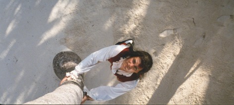 Rodney Graham, Vexation Island, 1997